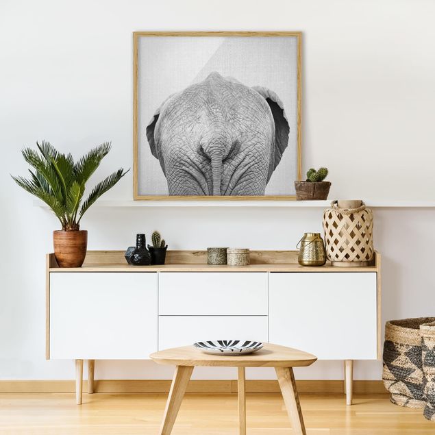 Framed poster - Elephant From Behind Black And White