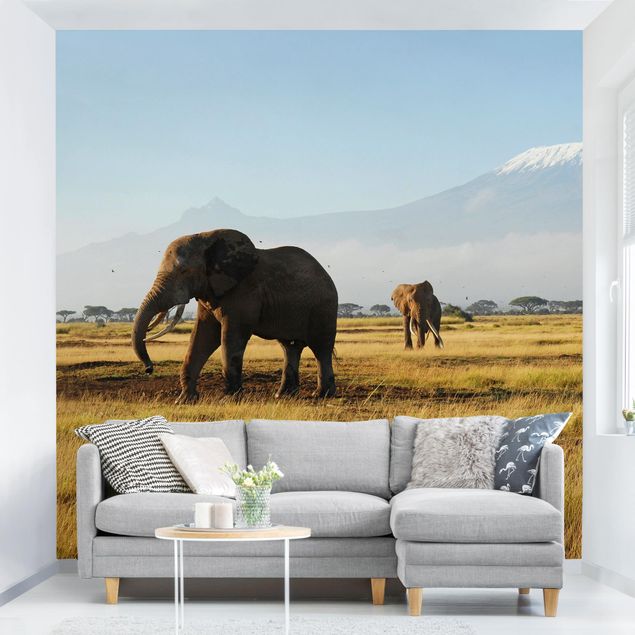 Wallpaper - Elephants In Front Of The Kilimanjaro In Kenya