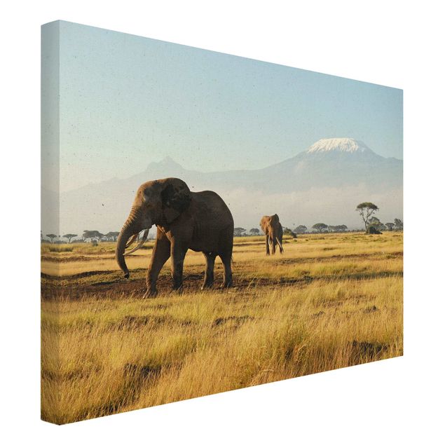 Natural canvas print - Elephants In Front Of Kilimanjaro In Kenya - Landscape format 4:3