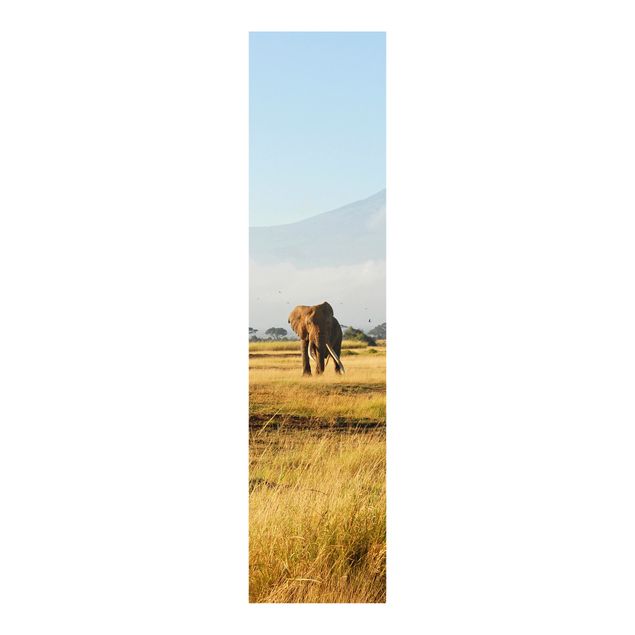 Sliding panel curtains set - Elephants In Front Of The Kilimanjaro In Kenya
