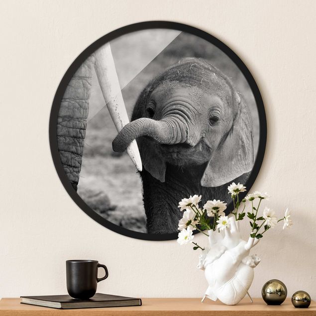 Circular framed print - Baby Elephant