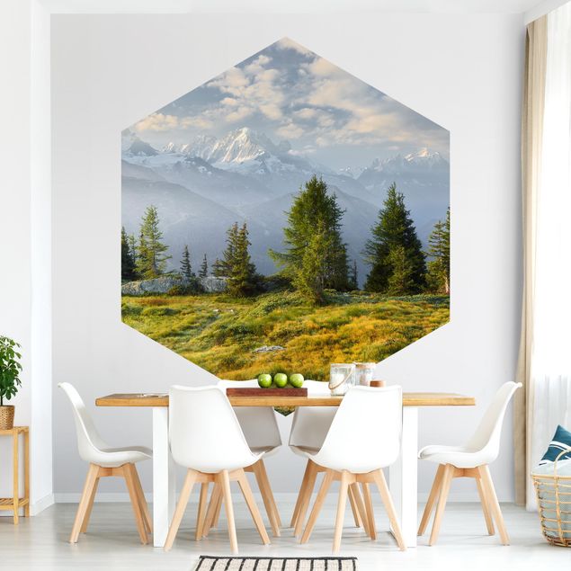 Self-adhesive hexagonal pattern wallpaper - Émosson Wallis Switzerland