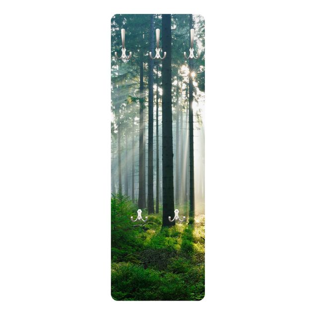Coat rack - Enlightened Forest