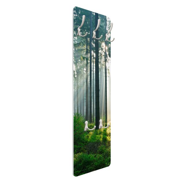 Coat rack - Enlightened Forest