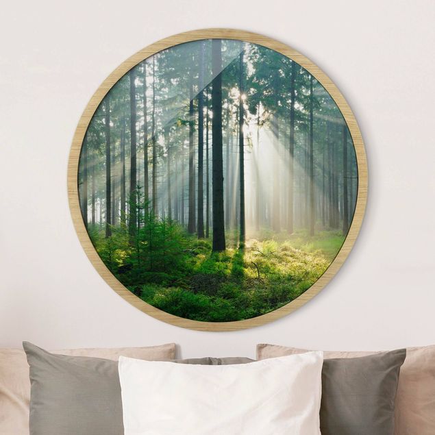 Framed prints round Enlightened Forest