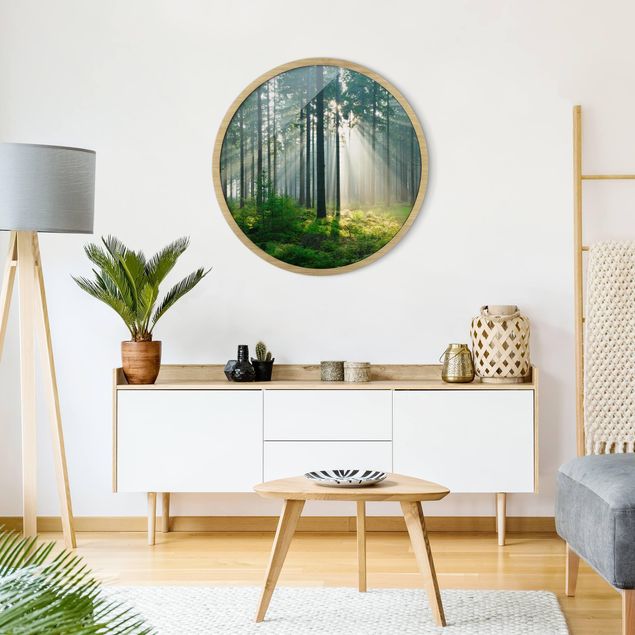 Circular framed print - Enlightened Forest