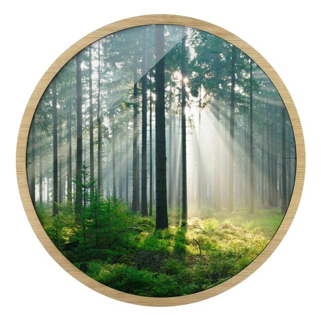 Circular framed print - Enlightened Forest