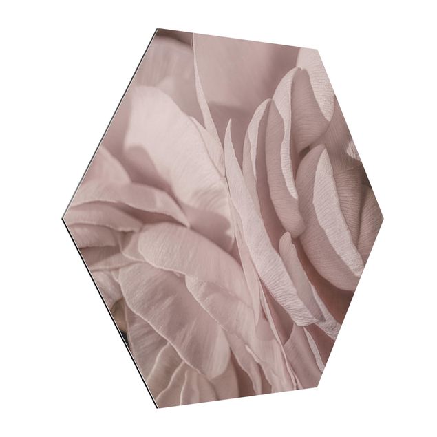 Alu-Dibond hexagon - Blushing Flower
