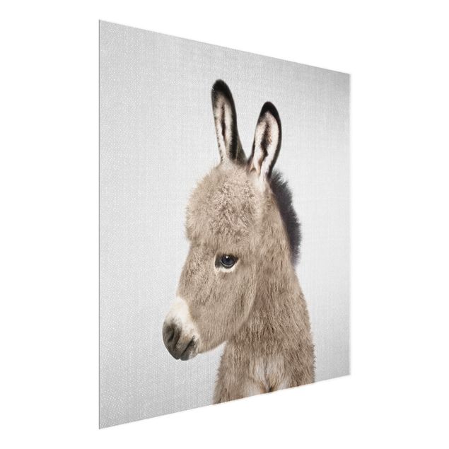 Glass print - Donkey Ernesto