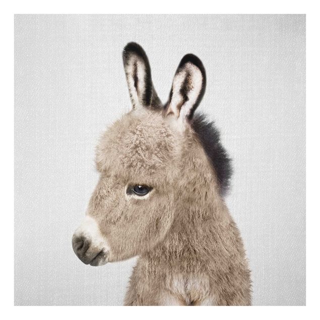 Glass print - Donkey Ernesto