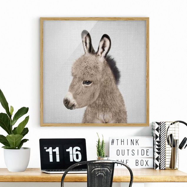 Framed poster - Donkey Ernesto