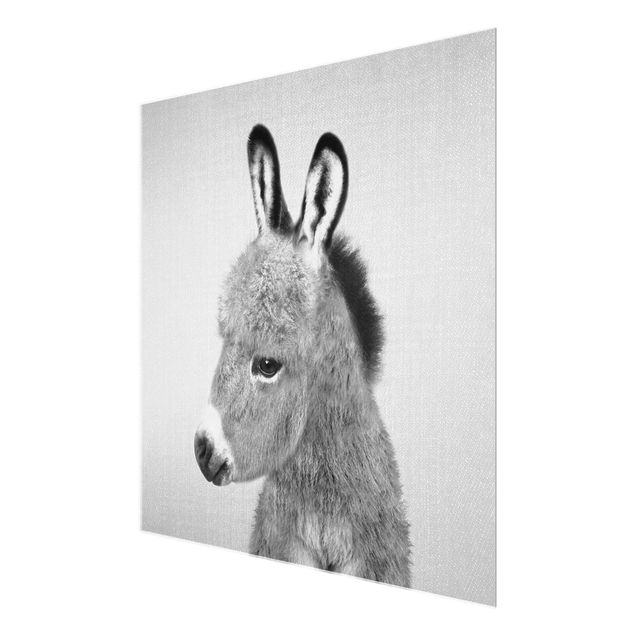Glass print - Donkey Ernesto Black And White