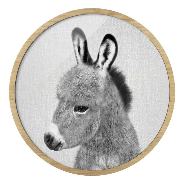 Circular framed print - Donkey Ernesto Black And White