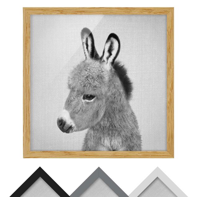 Framed poster - Donkey Ernesto Black And White