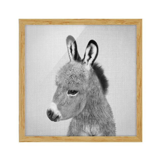 Framed poster - Donkey Ernesto Black And White