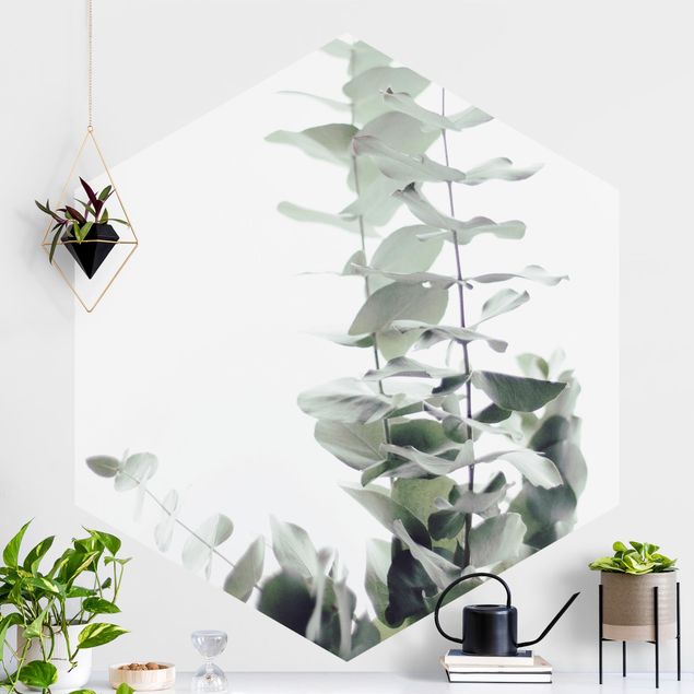 Hexagonal wall mural Eucalyptus In White Light