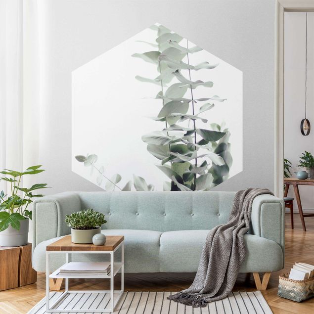 Self-adhesive hexagonal pattern wallpaper - Eucalyptus In White Light