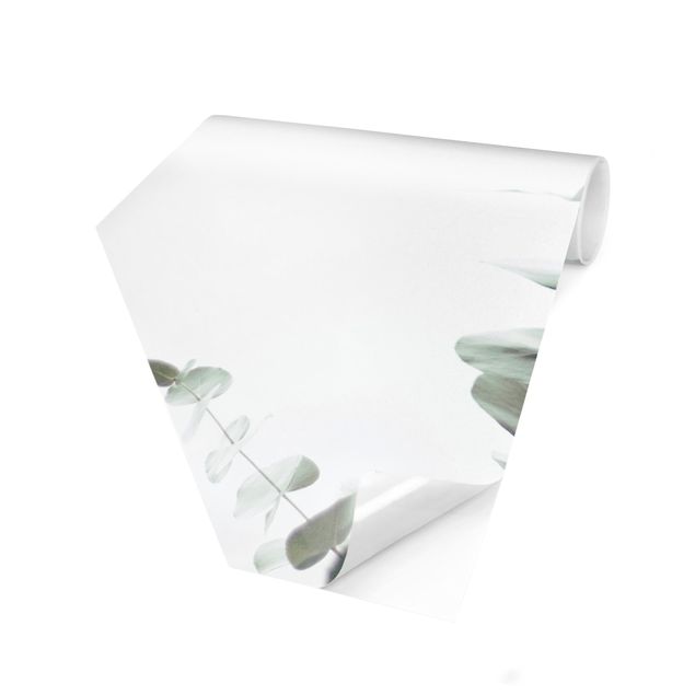 Self-adhesive hexagonal pattern wallpaper - Eucalyptus In White Light