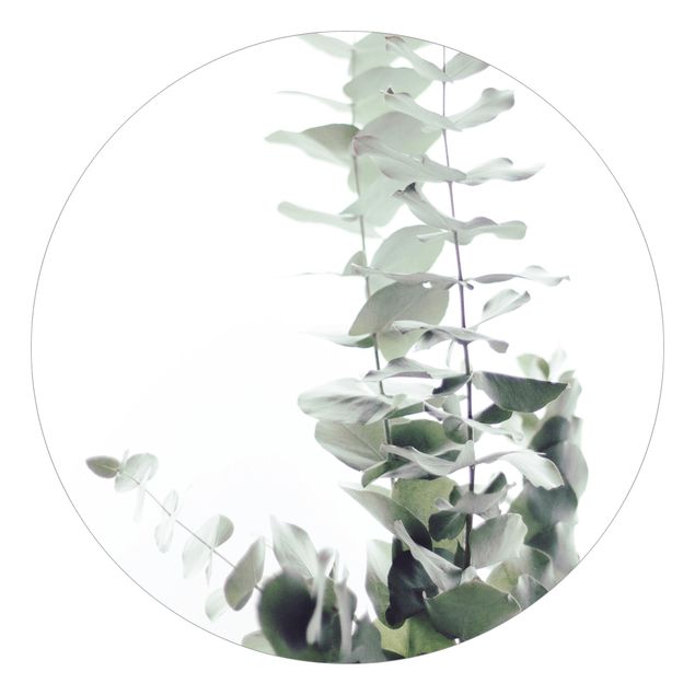 Self-adhesive round wallpaper - Eucalyptus In White Light