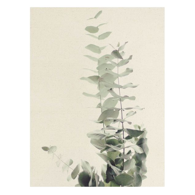 Natural canvas print - Eucalyptus In White Light - Portrait format 3:4