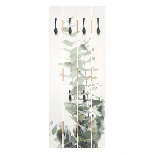 Wooden coat rack - Eucalyptus In White Light