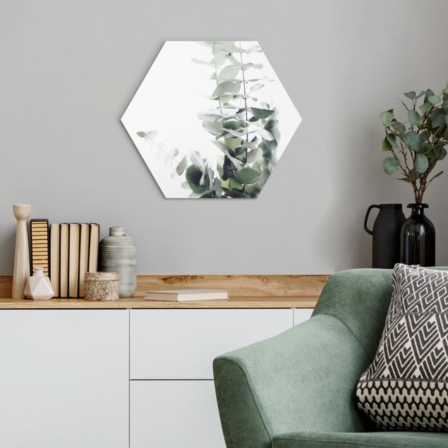 Alu-Dibond hexagon - Eucalyptus In White Light