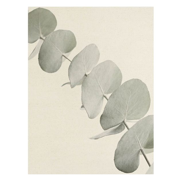 Natural canvas print - Eucalyptus Branch In White Light - Portrait format 3:4