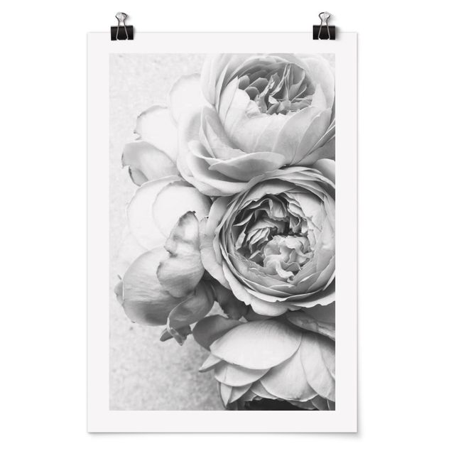 Poster - Peony Flowers Black White