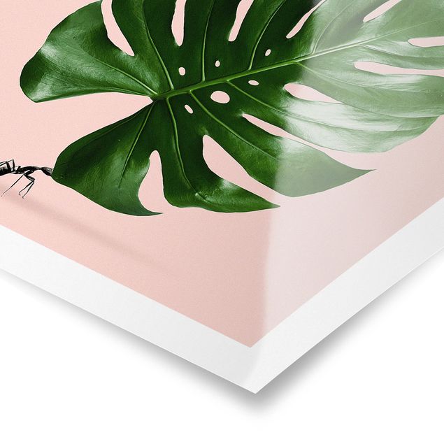 Poster - Ant With Monstera Leaf