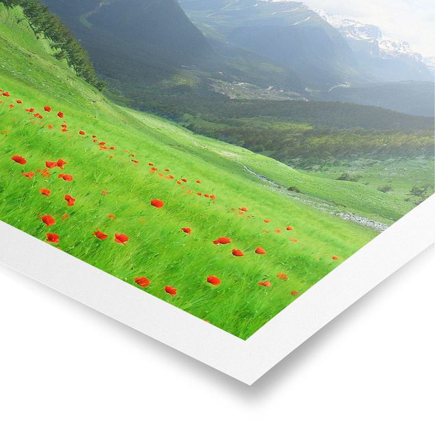 Poster - Alpine Meadow