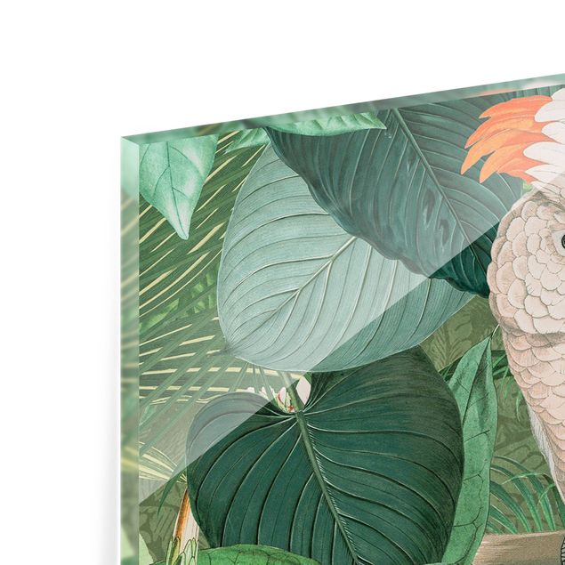 Splashback - Vintage Collage - Kakadu And Hummingbird