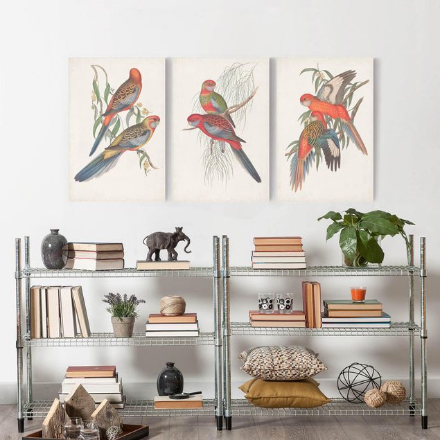 Print on canvas - Tropical Parrot Set I