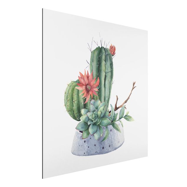 Alu dibond Watercolour Cacti Illustration