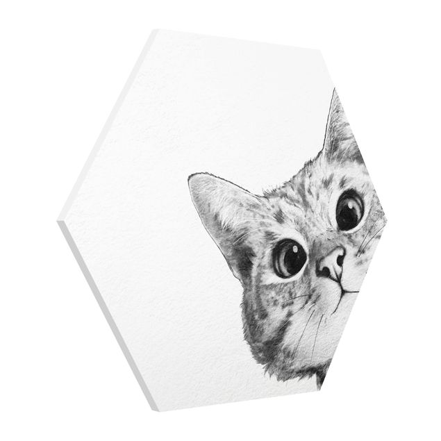 Forex hexagon - Illustration Cat Drawing Black And White
