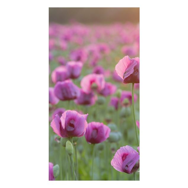 Shower wall cladding - Purple Poppy Flower Meadow In Spring