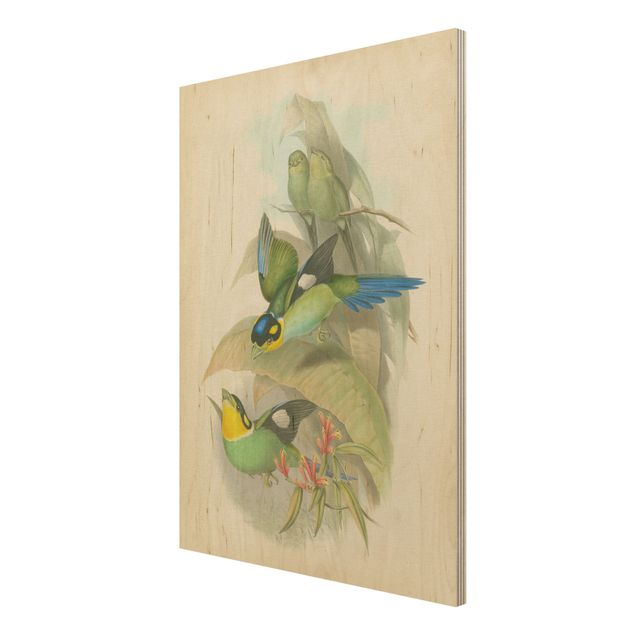Print on wood - Vintage Illustration Tropical Birds