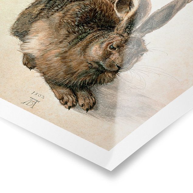 Poster - Albrecht Dürer - Young Hare