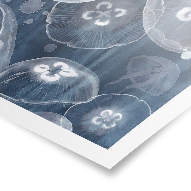 Poster - Moon Jellyfish II