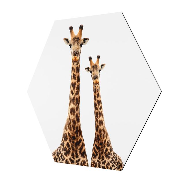 Alu-Dibond hexagon - Portait Of Two Giraffes