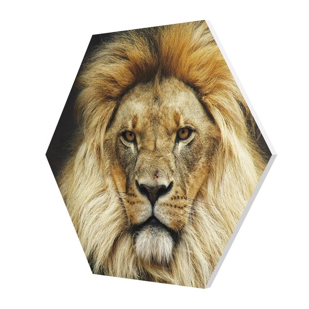 Forex hexagon - Wisdom Of Lion
