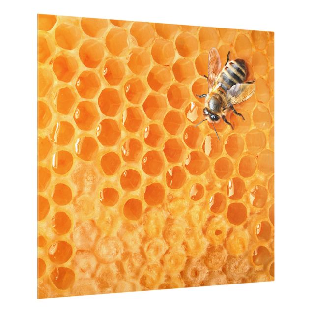 Glass Splashback - Honey Bee - Square 1:1