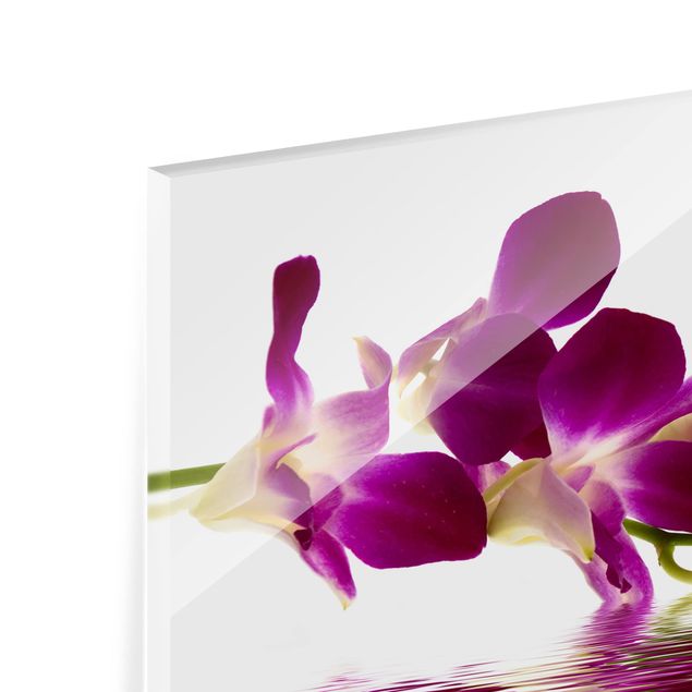 Splashback - Pink Orchid Waters