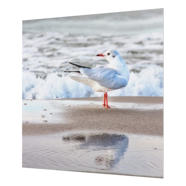 Glass splashback kitchen Seagull On The Beach In Front Of The Sea