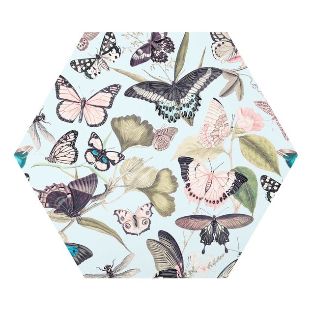 Hexagon Picture Forex - Vintage Collage - Butterflies And Dragonflies