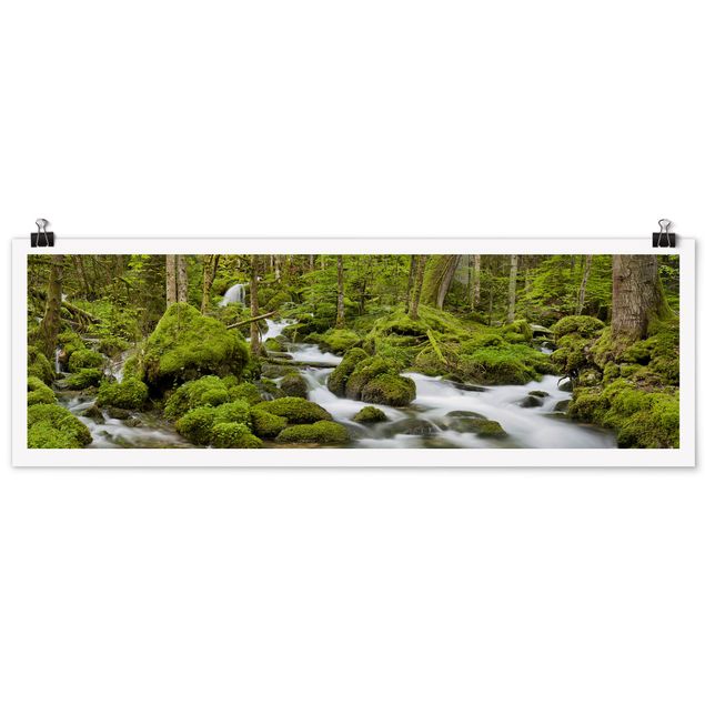 Panoramic poster nature & landscape - Mossy Stones Switzerland