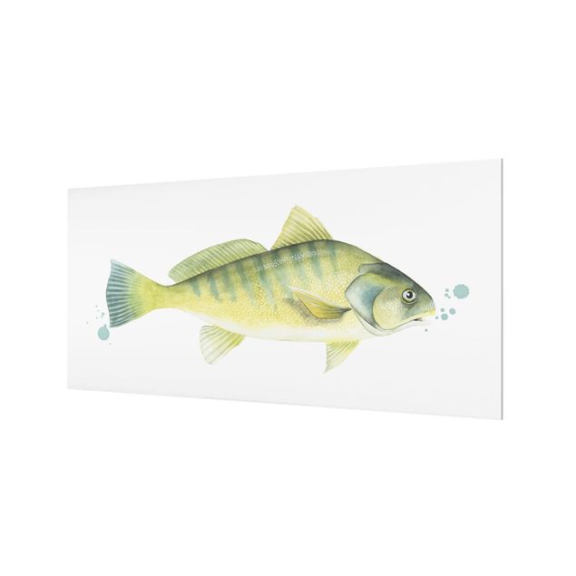 Splashback - Color Catch - Perch