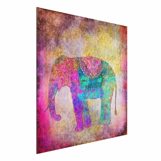 Aluminium dibond Colourful Collage - Indian Elephant
