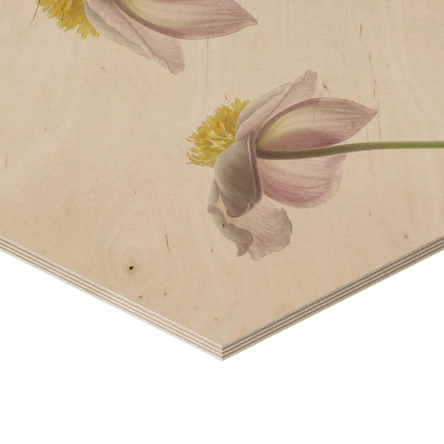 Wooden hexagon - Pink Anemone Blossoms