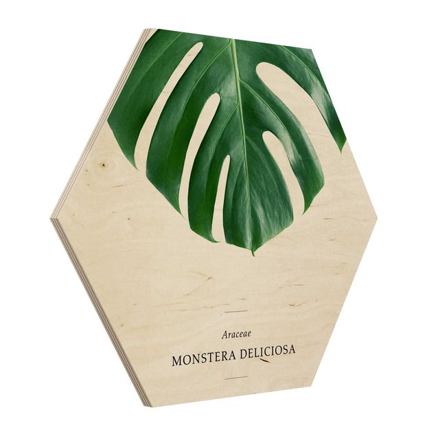 Wooden hexagon - Tropical Leaf Monstera