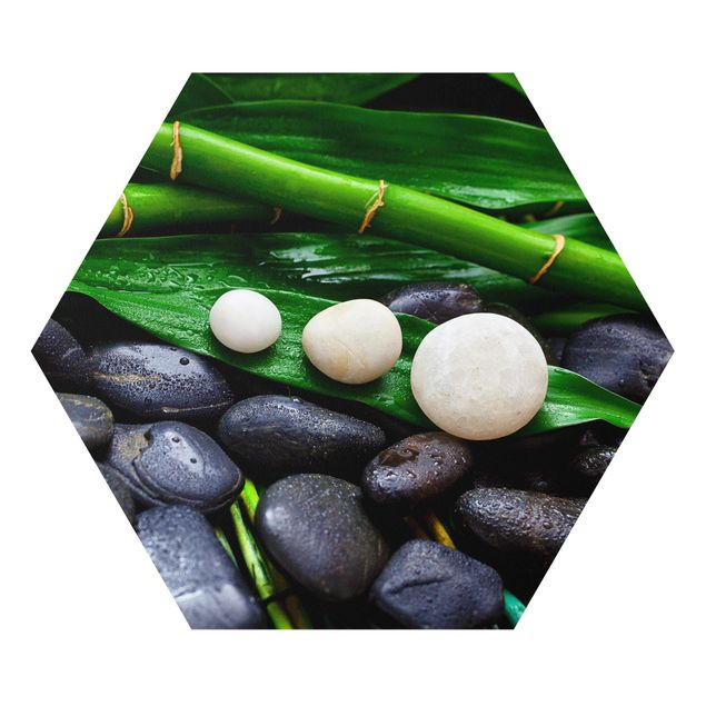 Hexagon Picture Forex - Green Bamboo With Zen Stones